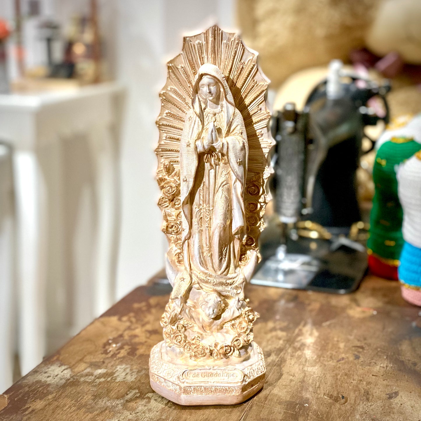 Box-D Virgen H