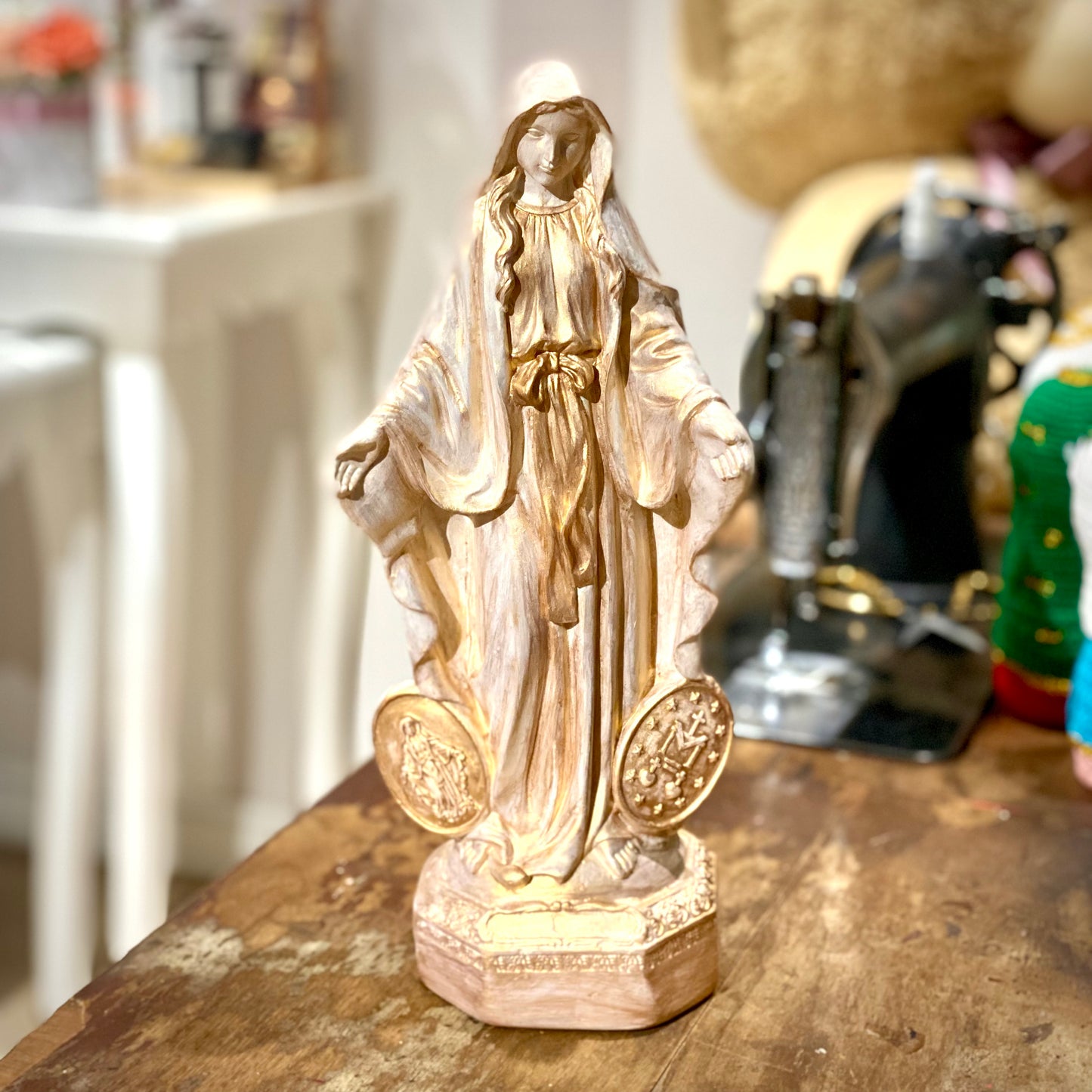 Box-D Virgen H