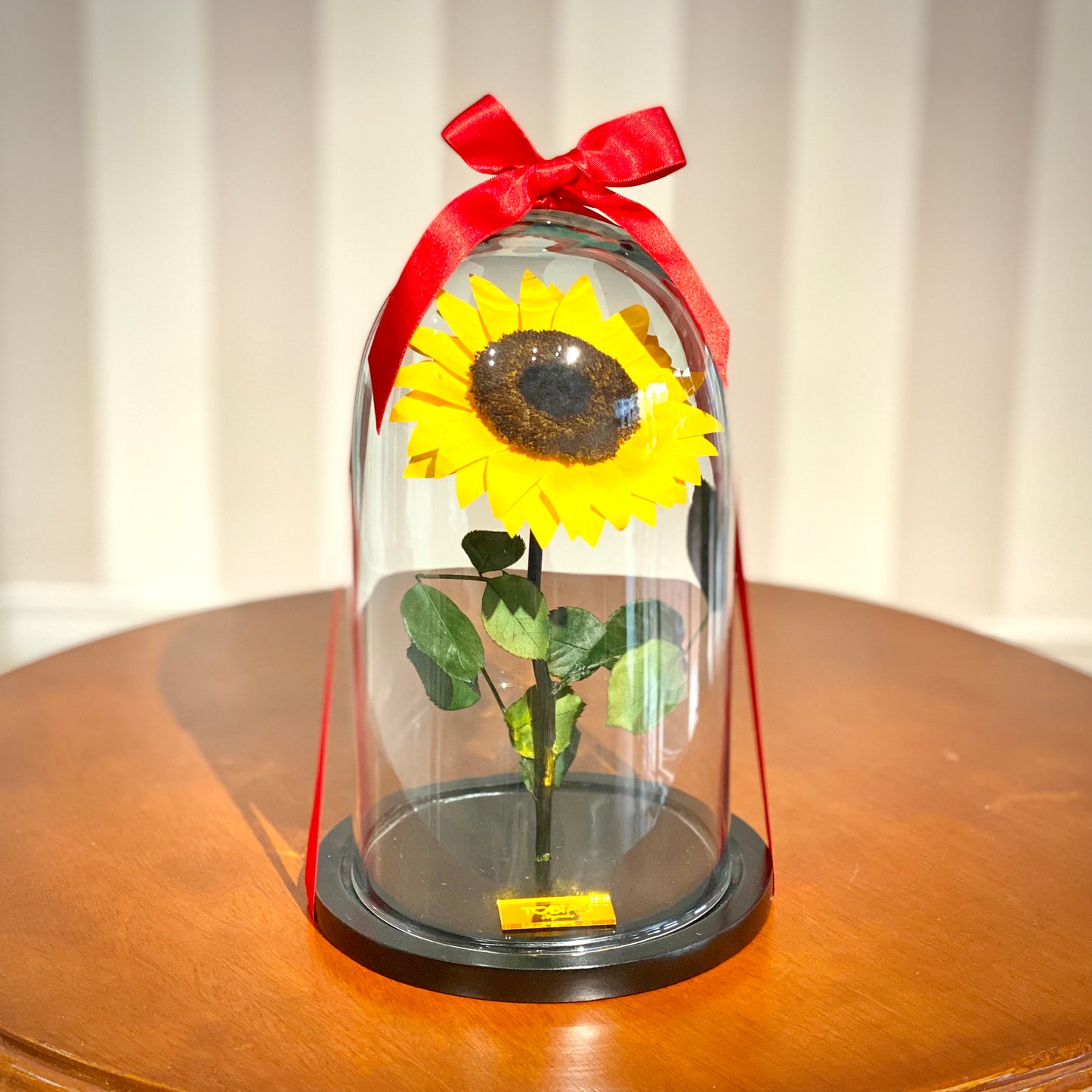 Box-C Girasol Eterno UE