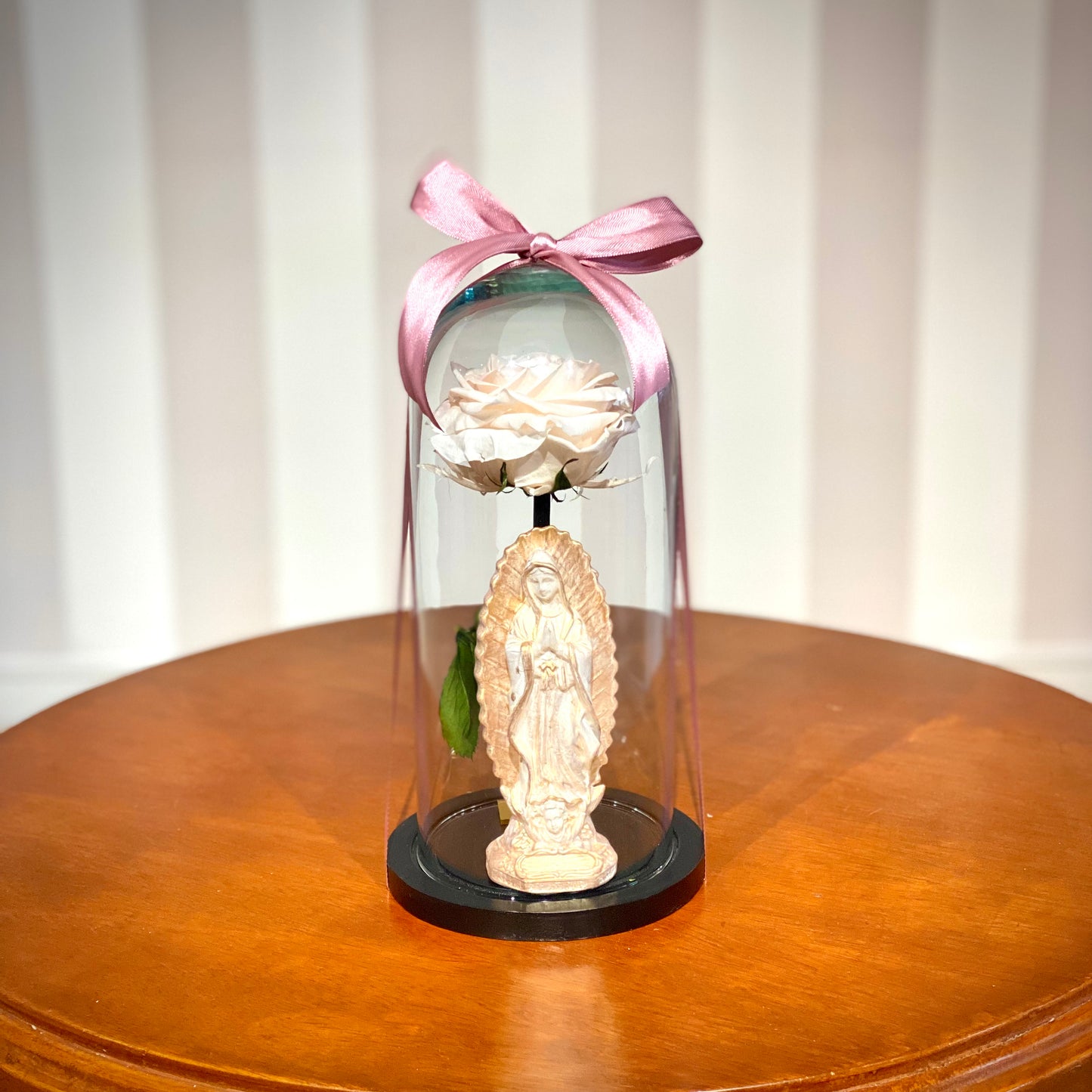 Box-C Rosa Eterna Virgen MD