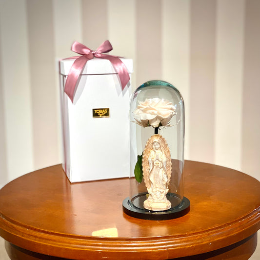 Box-P Kit Rosa Eterna Virgen MD